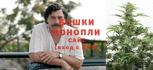 PSILOCYBIN Баксан